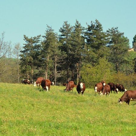 Gites A La Ferme De Bacon Saint-Sylvestre  외부 사진